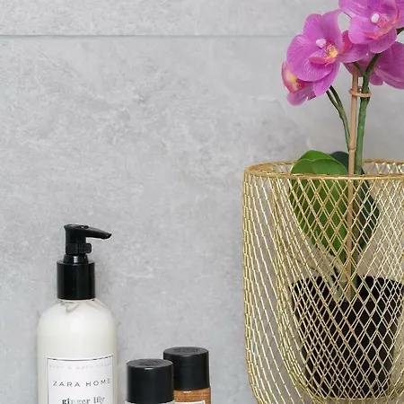 Apartmán Tp - Center