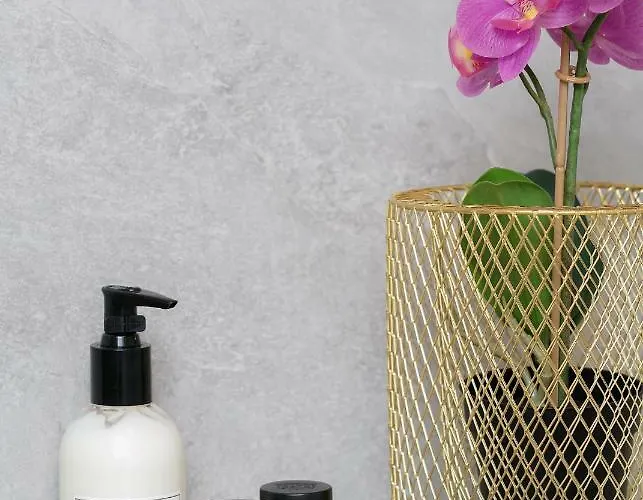 Apartman Tp - Center